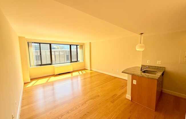 Studio, 1 bath, 460 sqft, $2,400, Unit 0310