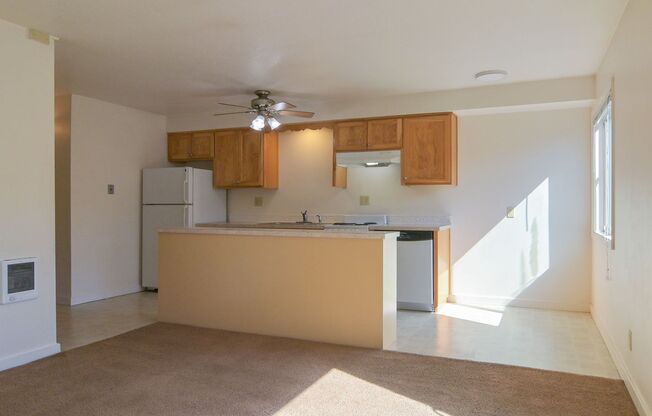 1 bed, 1 bath, $1,150, Unit 7