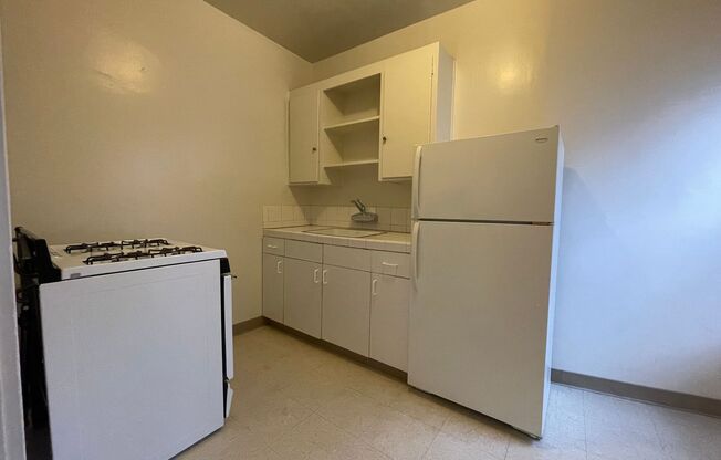 Studio, 1 bath, 500 sqft, $1,795, Unit #1