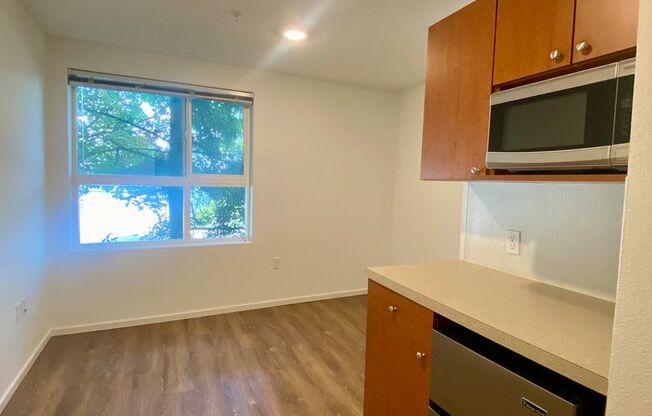 Studio, 1 bath, 176 sqft, $1,225, Unit 4210