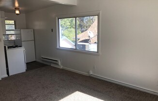 1 bed, 1 bath, 484 sqft, $700, Unit 153 #2