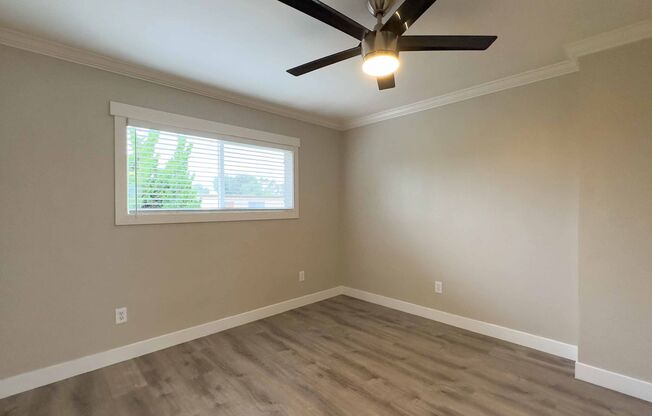 Xav 424 Emerald Avenue