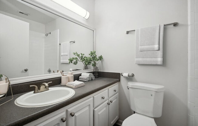 Model primary bathroom