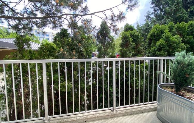1 bed, 1 bath, 415 sqft, $2,150, Unit 2204-A