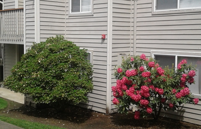 1 bed, 1 bath, 700 sqft, $1,750, Unit B104