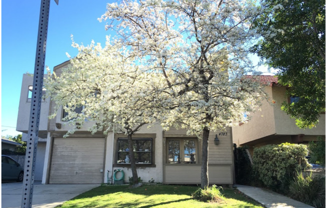 Stunning Two Bedroom Three Bathroom Home