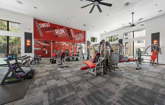 A gym with a variety of equipment including treadmills, stationary bikes, and weight machines.