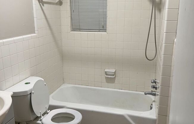 Studio, 1 bath, 475 sqft, $929, Unit 11