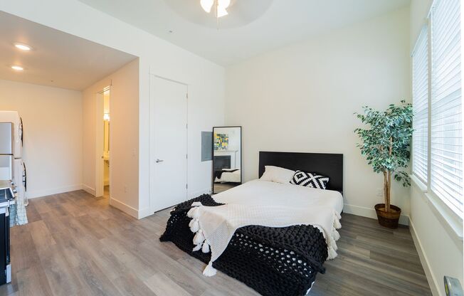 Janie Apartments - Free internet!