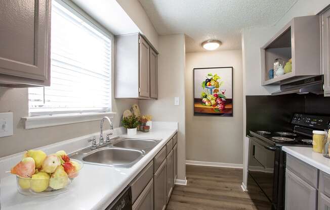 Kitchen with Dual Sink at The Villas at Quail Creek Apartment Homes in Austin Texas