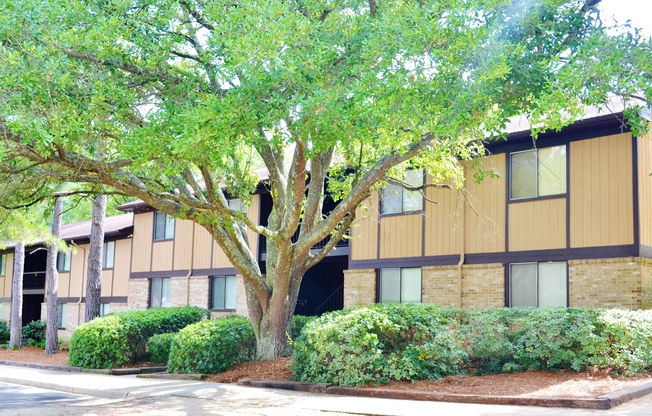 1 bed, 1 bath, 800 sqft, $610, Unit 25