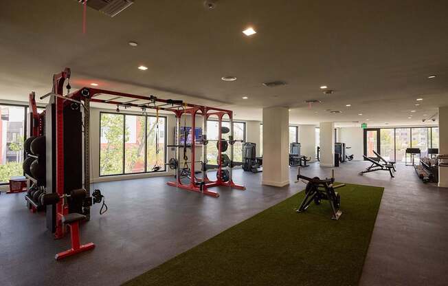 A gym with a green carpet and red equipment.