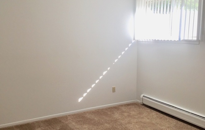 1 bed, 1 bath, 800 sqft, $1,195, Unit 11