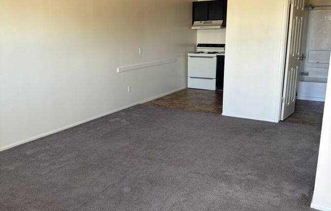 Studio, 1 bath, 360 sqft, $800, Unit 267