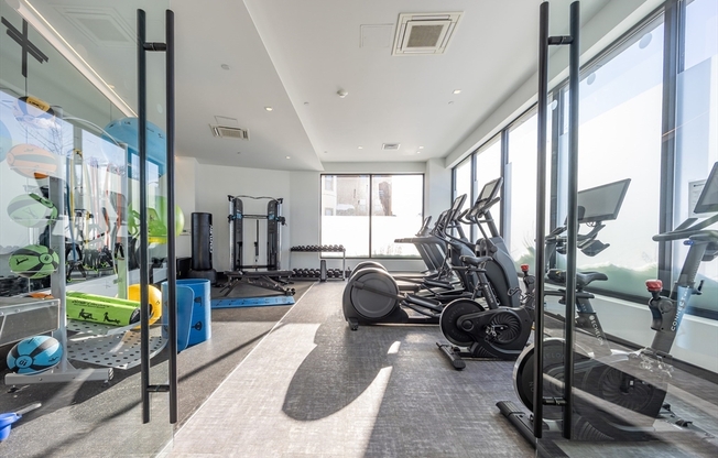 1 bed, 1 bath, 688 sqft, $2,950, Unit 209