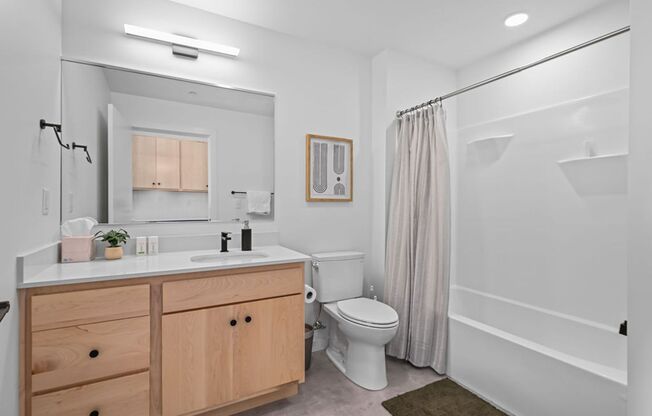 Studio, 1 bath, 380 sqft, $1,295, Unit 214