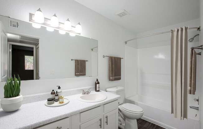 One Bed 625sqft bathroom bathroom at River Oaks Apartment