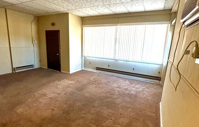 1 bed, 1 bath, $1,250, Unit 4