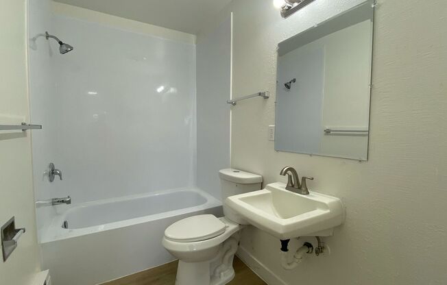 1 bed, 1 bath, 491 sqft, $1,025, Unit Unit 317