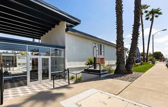 A modern building with a glass entrance and a palm tree in front.
