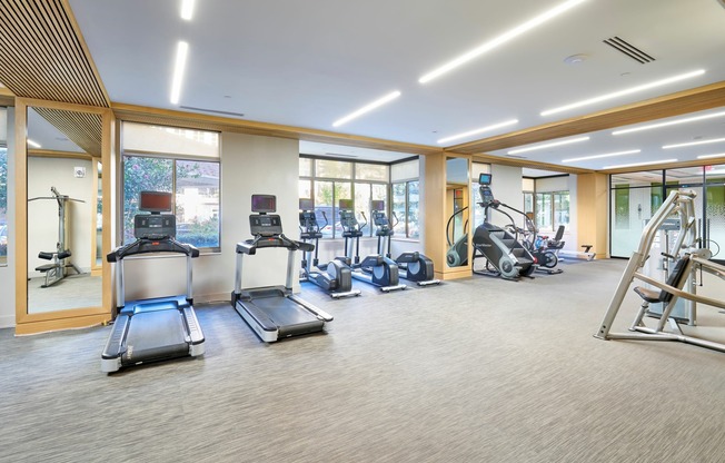 Newly Renovated Fitness Center With Cardio & Weight Machines, Free Weights & Brand New Yoga/Workout Studio