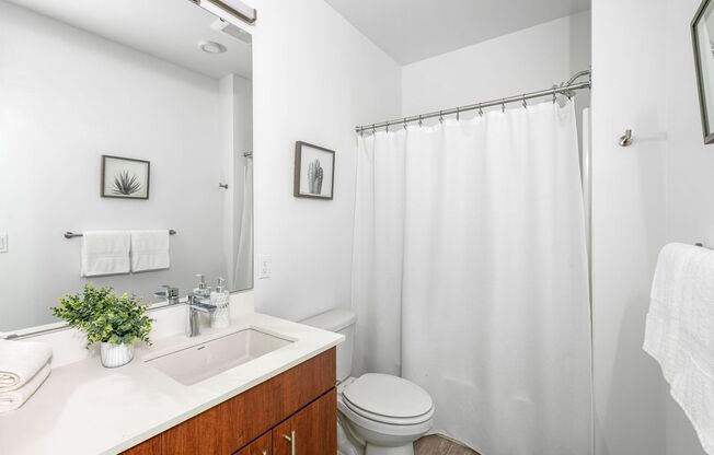 Studio, 1 bath, 303 sqft, $1,399, Unit 211