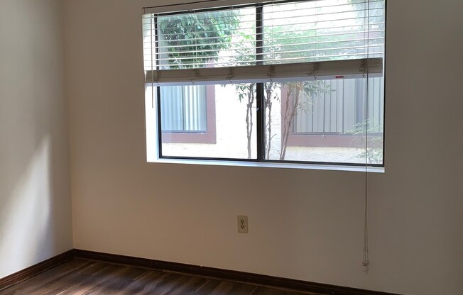 1 bed, 1 bath, 572 sqft, $2,000, Unit 119