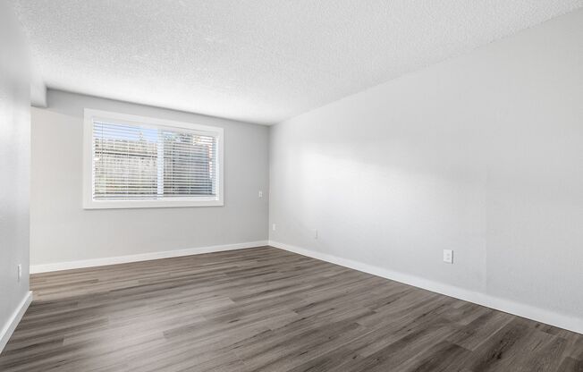 1 bed, 1 bath, 494 sqft, $1,250, Unit 31
