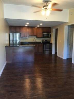 1 bed, 1 bath, 576 sqft, $1,095, Unit 309