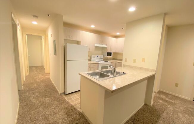 2 beds, 2 baths, 990 sqft, $2,530, Unit A 201