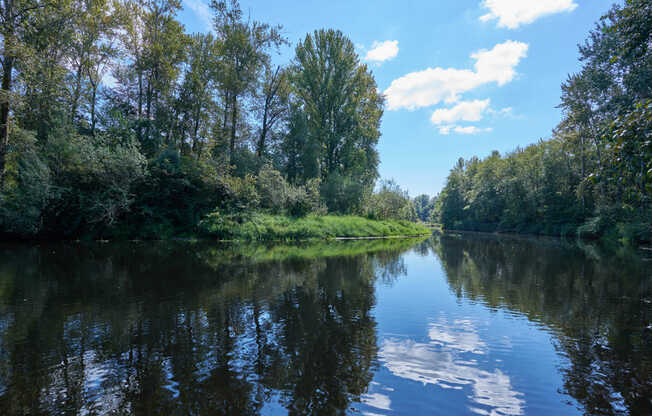 Scenic water views at the Park at Bothell Landing