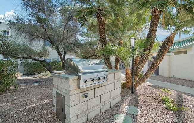 A backyard with a grill and a palm tree.