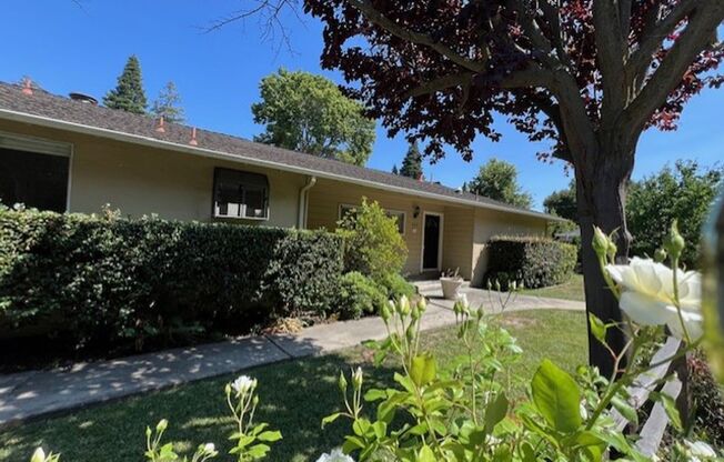 Lovely home near the Willows