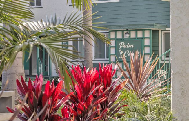 Palm Court