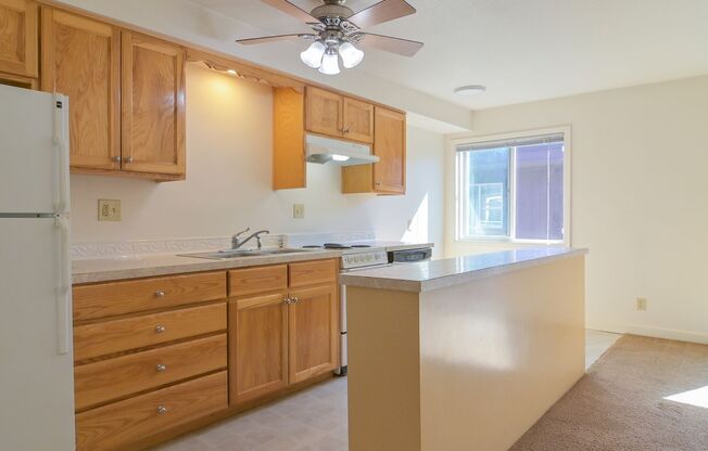 1 bed, 1 bath, $1,150, Unit 7