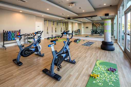 A gym with exercise equipment and a green mat.
