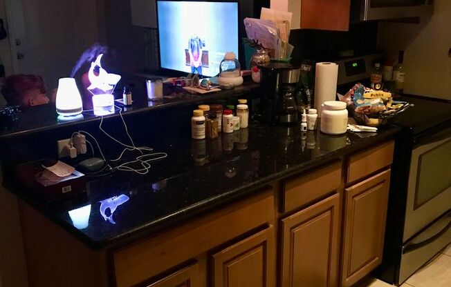 CENTRALLY LOCATED RENOVATED 1 BED 1 BATH CONDO WITH PARKING