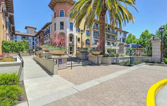 A sunny day in a well-maintained urban area with a palm tree and a building in the background.
