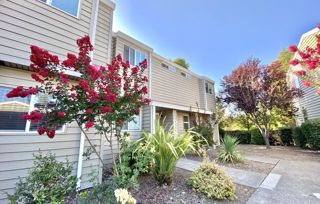 Exterior of Units with ornamental trees and shrubs