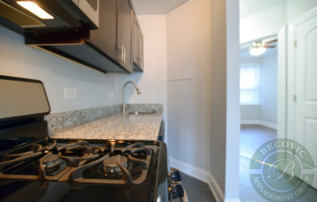 1 bed, 1 bath, 446 sqft, $1,695, Unit 303