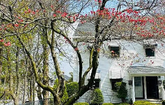 21 UN ST