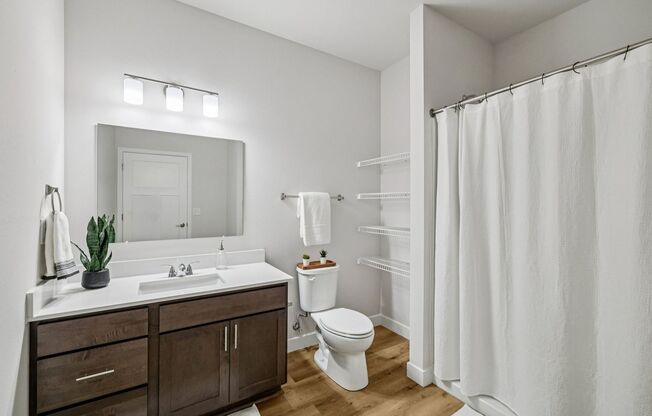 1 bed, 1 bath, 602 sqft, $1,400, Unit 2987-158