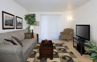 Hyde Park Living Room Apartments in Colorado Springs, CO