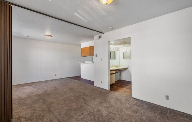 Studio, 1 bath, 520 sqft, $1,075, Unit 009