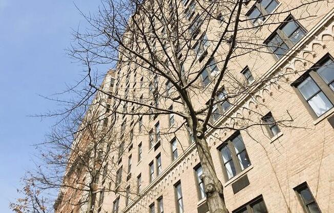 1 bed, 1 bath, $5,500, Unit 10I