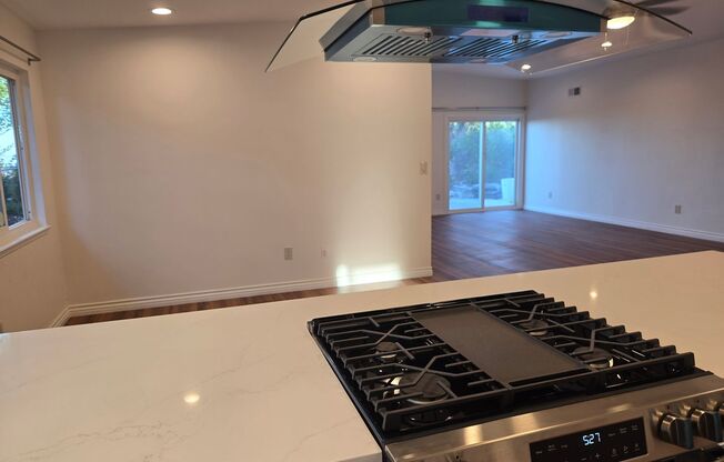 Newly-Remodeled RPV Family Home with a View