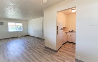 1 bed, 1 bath, 440 sqft, $995, Unit 1101-F