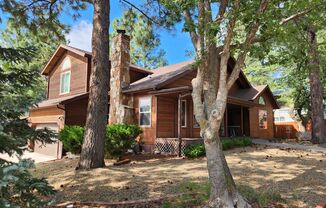 Beautiful home on Skyline Drive