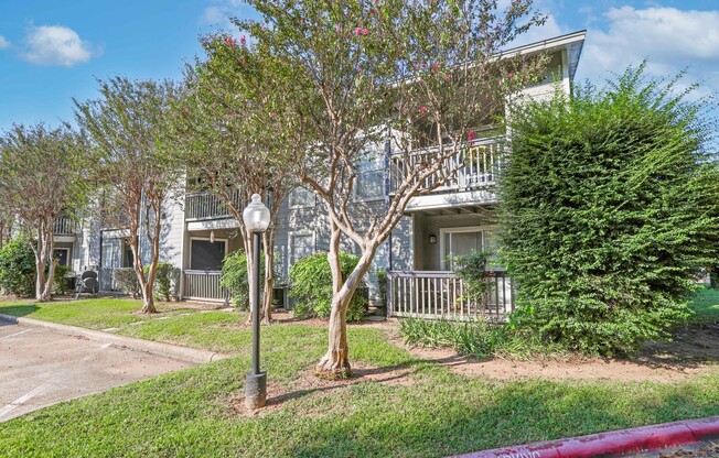A tree in front of a white building with a balcony at Laurel Parc apartments in Shreveport, LA.