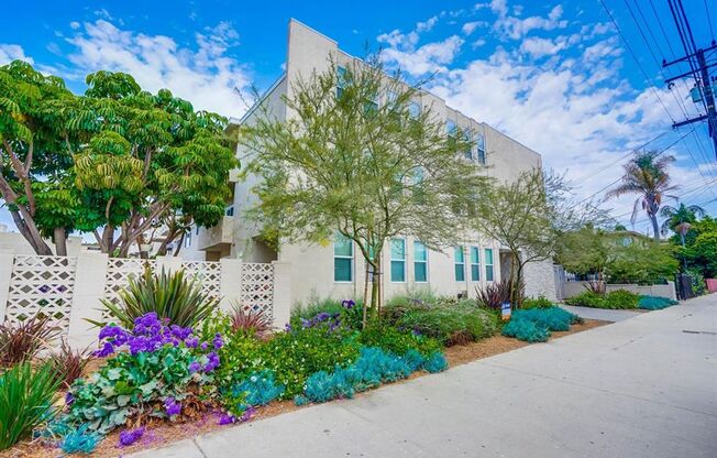537 Hyde Park Blvd